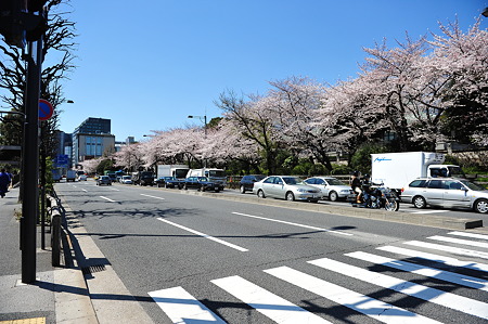 2012/4 Cherry blossom＠千鳥ヶ淵-21