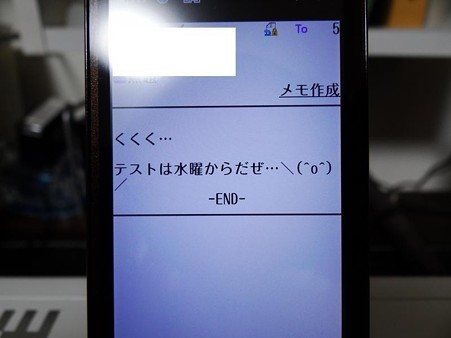 DSC04645_R