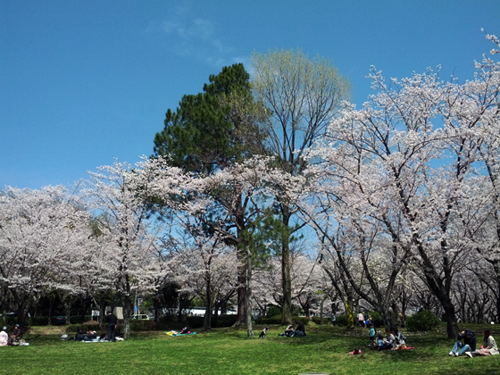 2012042405nexus