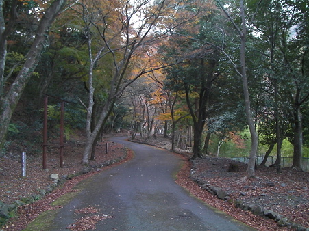 まだまだ見れたぞ