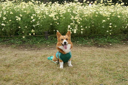 DSC03500