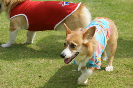 DSC06030