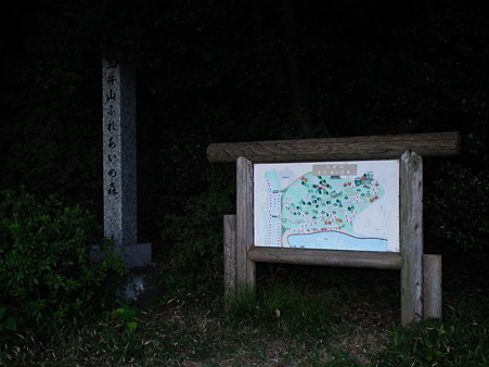 DSCF4138
