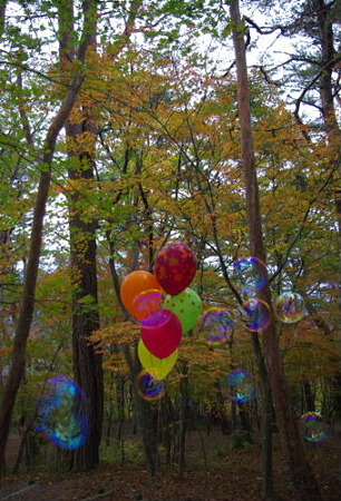 IMGP9301_1103