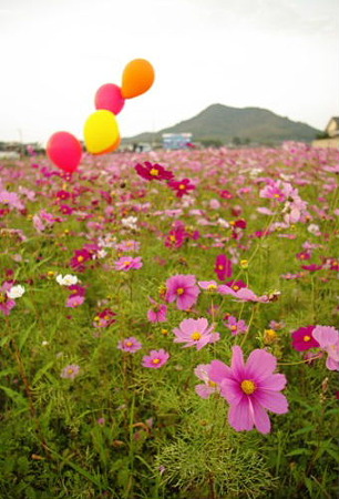 IMGP0856_1113
