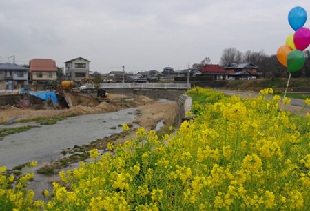 IMGP8654_0219a