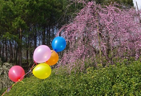 IMGP9157_0325