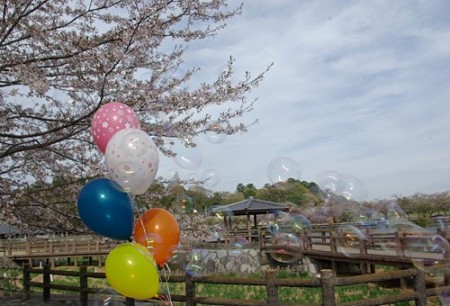 IMGP0206_0415a
