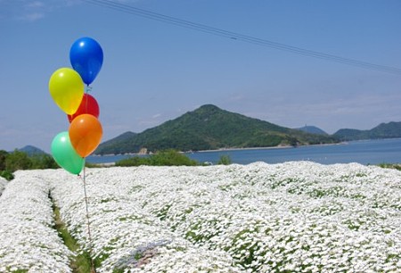 IMGP1830_0512