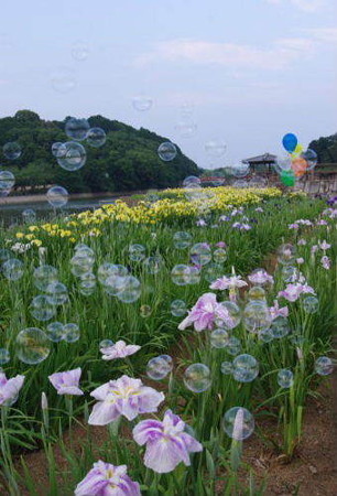 IMGP5502_0708