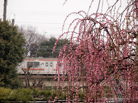 P3180533