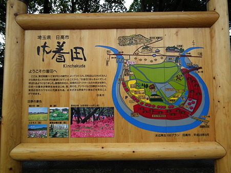 巾着田 041