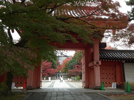 京都 440