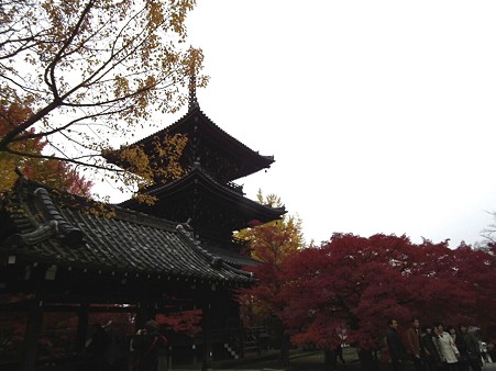 京都 408