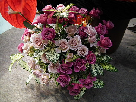 14ガーデニングショー薔薇