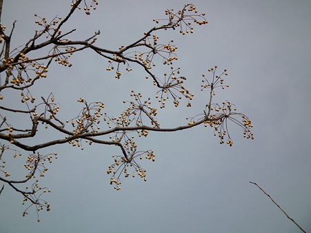 DSCF0021