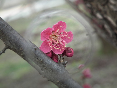 DSCF0084