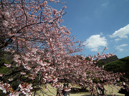 DSCF0429