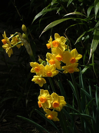 DSCF0074