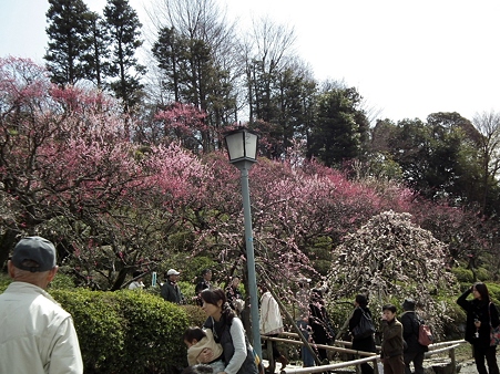DSCF0150