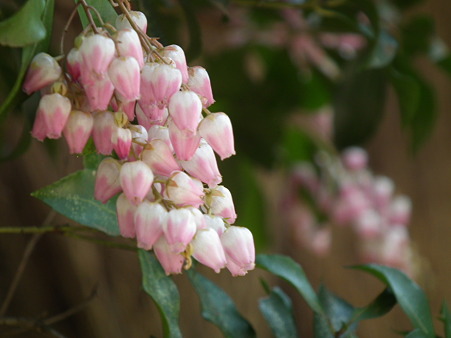 DSCF0080
