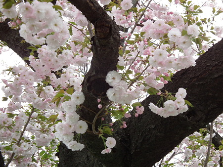 DSCF0098