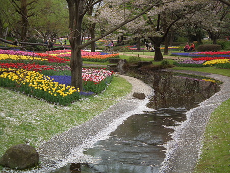 DSCF0608