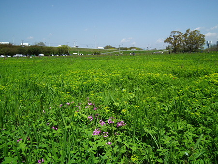DSCF0084
