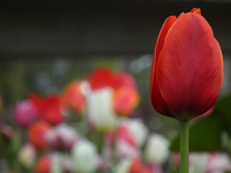 DSCF0176