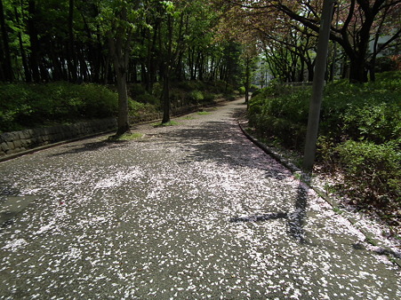 DSCF0057