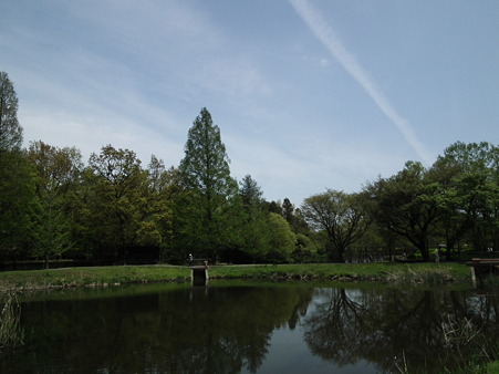 DSCF0053