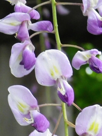 IMGP0044