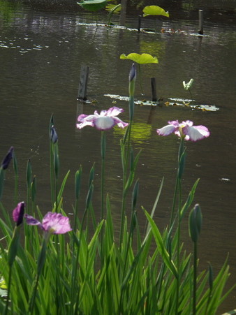DSCF0752