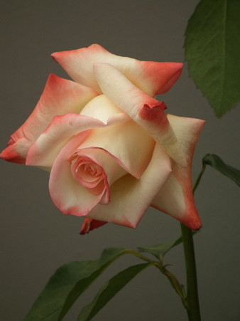 DSCF0741