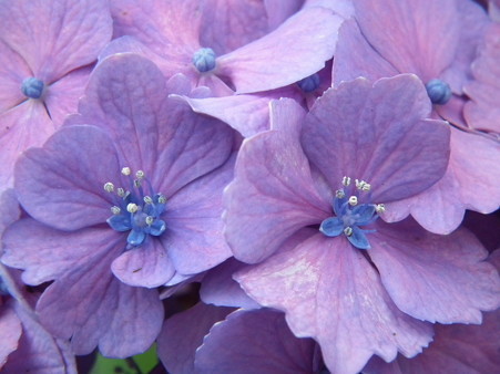 DSCF0197