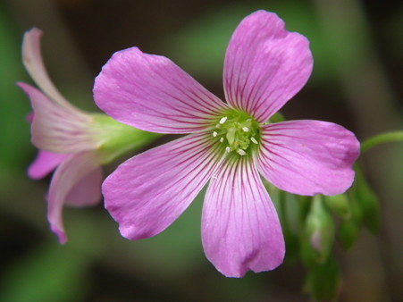 DSCF0076
