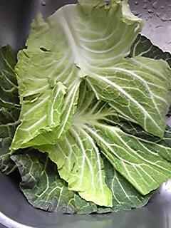 キャベツの外葉