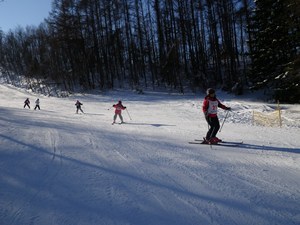 IMGP2290_R