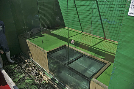 tokyowildlife110924200