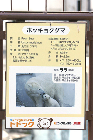 mauyama110705130