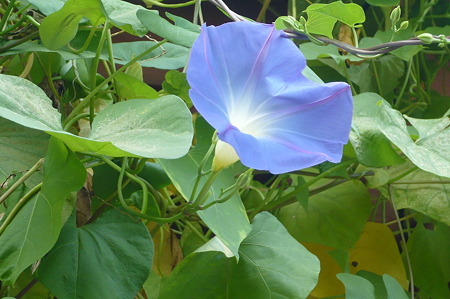 夏の終わり…