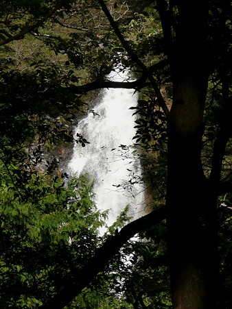 黒坂の滝