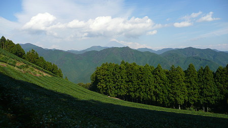 杉尾山から見た富士山