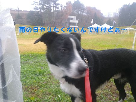雨の日嫌い!
