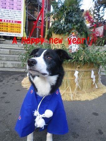 ahappy new year2012