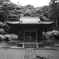 白山神社(モノクロフィルム)