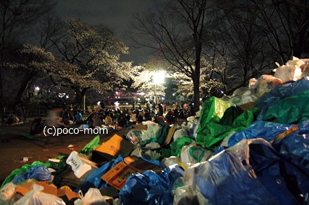 桜とゴミ2012年04月07日_DSC_0927