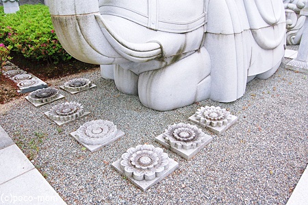 壷阪寺2012年05月04日_DSC_2344