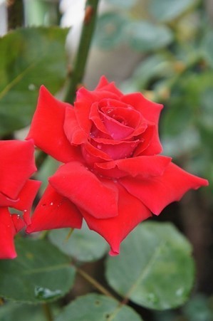 6ankul24062202