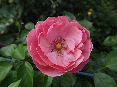 2anjer24070212